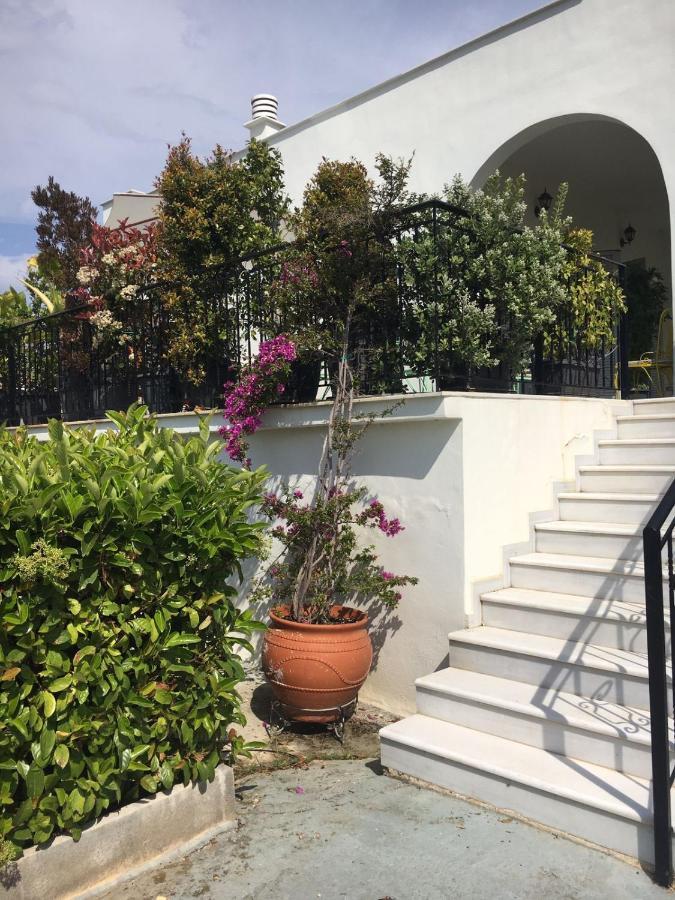 Sunny Sea House Villa Rafína Exterior foto